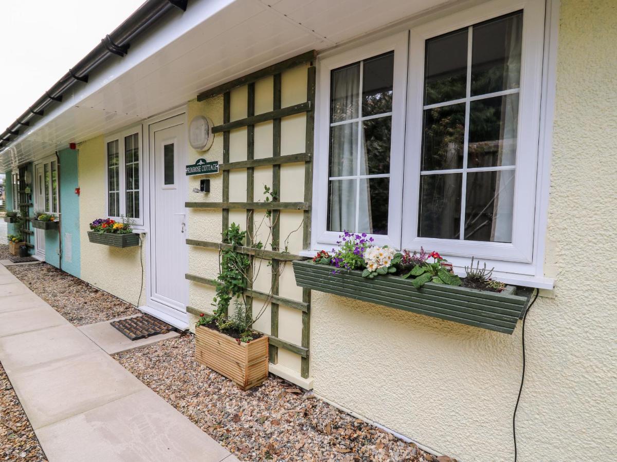 Primrose Cottage Llandrindod Wells Exterior photo